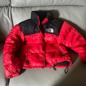 The north face jacket